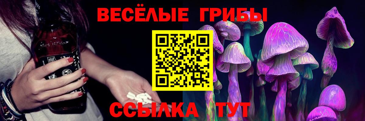 Южноуральск  Галлюциногенные грибы MAGIC MUSHROOMS  Вход с VPN 